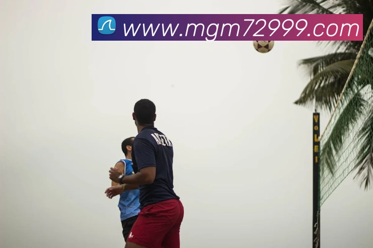美高梅mgm官网平台生态图
